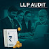 LLP Company Audit Turnover more than 40 Lakhs