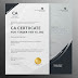 CA Chartered Accountant Certificate for Tender Application